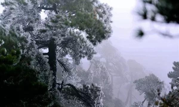 生化危机保护伞小队